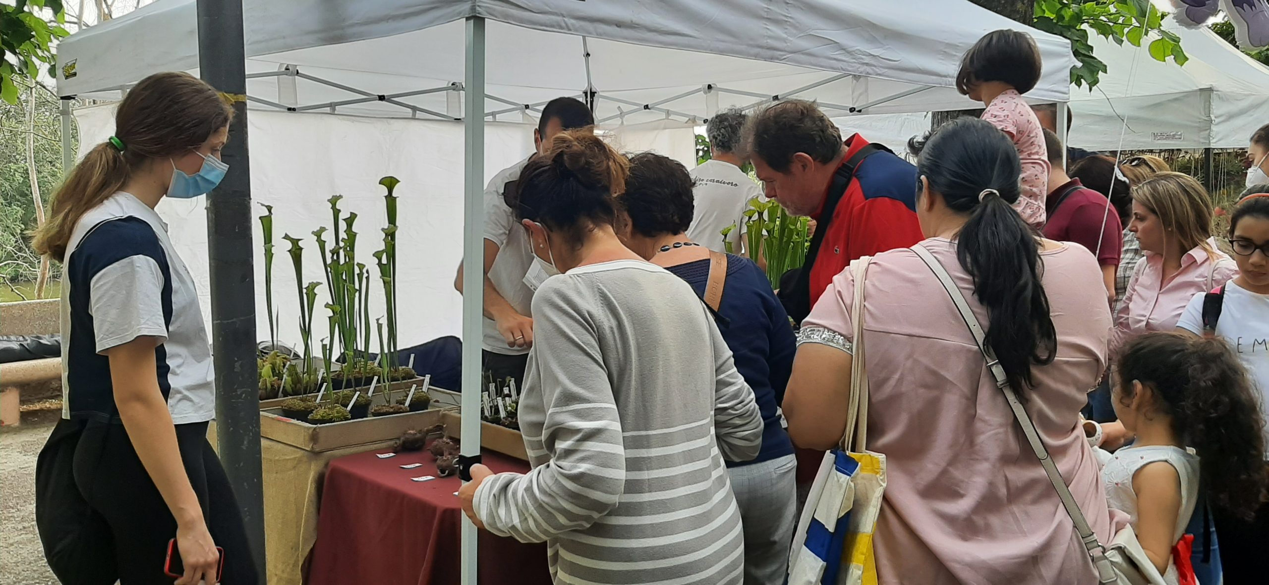 FIERA DEGLI SCALZI