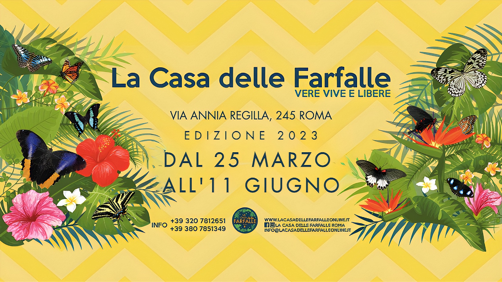 Riapre La Casa delle Farfalle