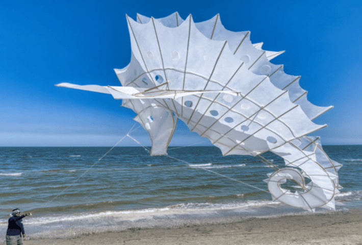 46° edizione – Artevento