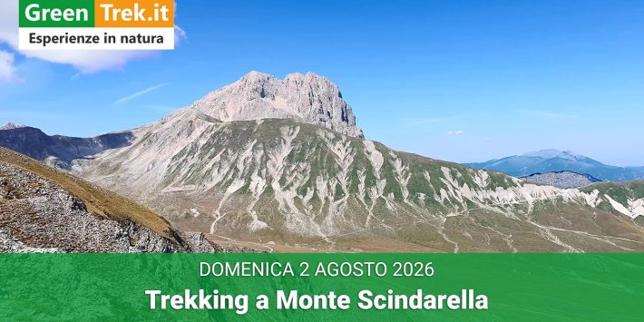 Gli Alti Pascoli delle Centorelle – Trekking a Monte Scindarella