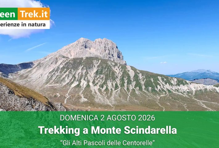 Gli Alti Pascoli delle Centorelle – Trekking a Monte Scindarella