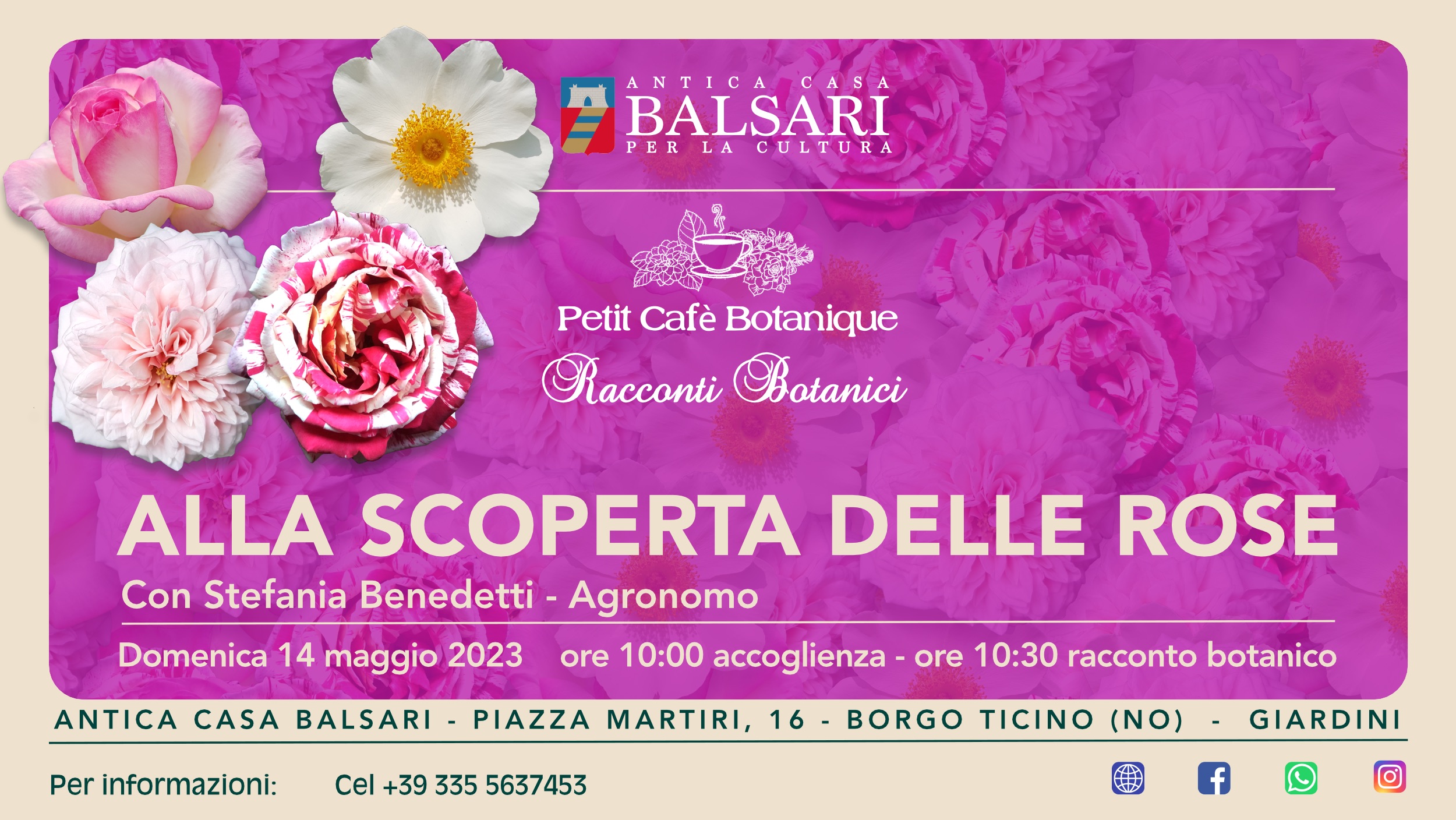 Alla scoperta delle rose