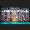 Il lago dei cigni
