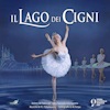 Il lago dei cigni