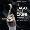 Il Lago dei Cigni