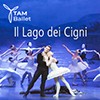 Il Lago dei Cigni – TAM BALLET