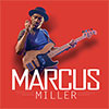 Marcus Miller