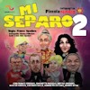 MI SEPARO 2