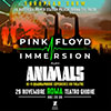 Pink Floyd Immersion