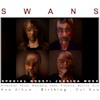 Swans