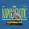 Napoli Exotic