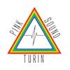 Pink Sound – Italian Pink Floyd Show