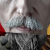 Don Quichotte Turno Prime