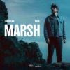 Marsh