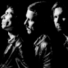 The Cribs