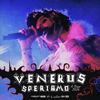 Venerus