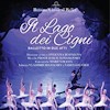 Il lago dei Cigni