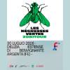 Les Negresses Vertes