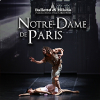 Notre dame de Paris
