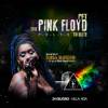 PFT – The Pink Floyd – Pulse Live